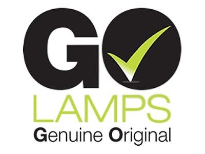 Audio Visual GO Lamps - Projector